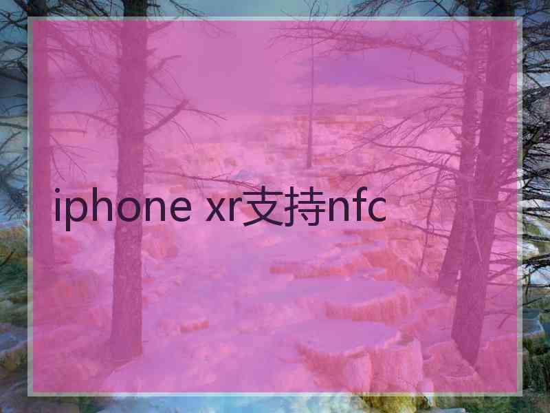 iphone xr支持nfc