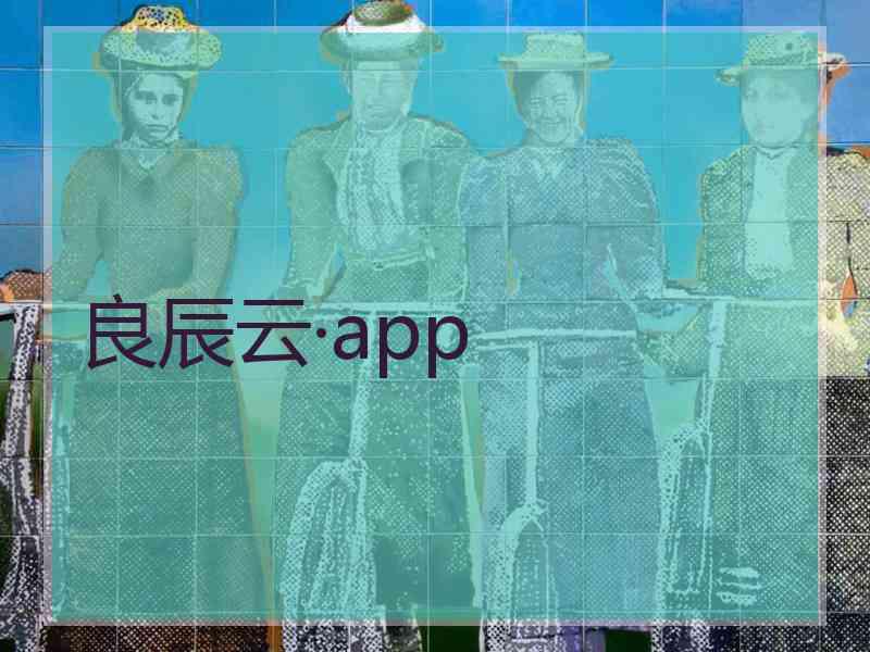 良辰云·app