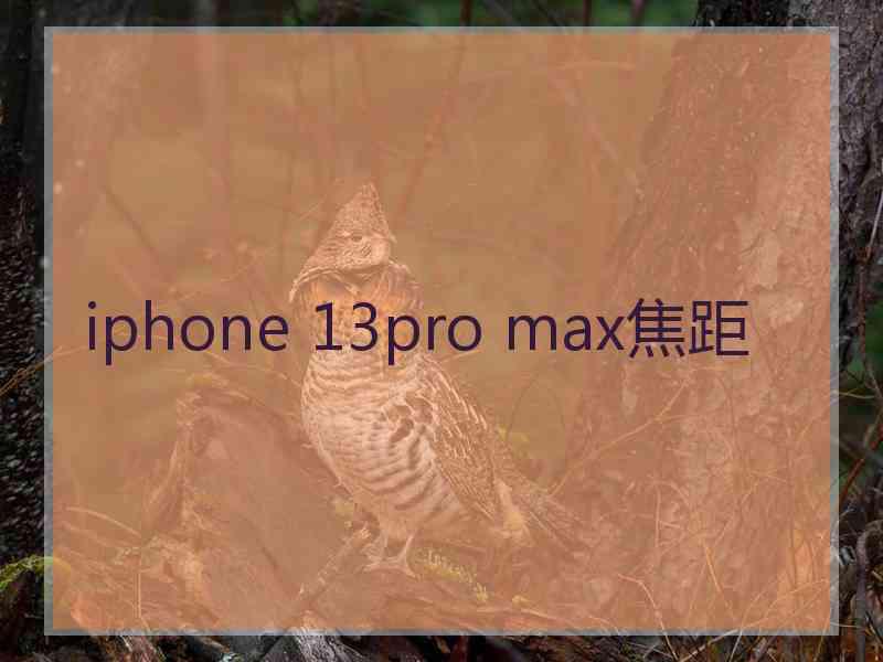 iphone 13pro max焦距