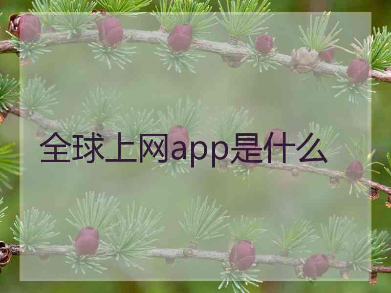 全球上网app是什么