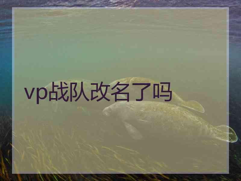 vp战队改名了吗