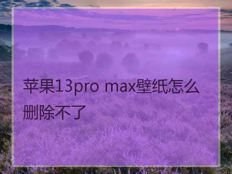 苹果13pro max壁纸怎么删除不了