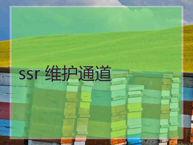 ssr 维护通道