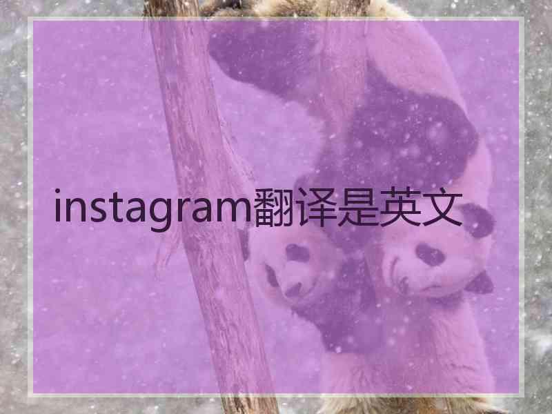 instagram翻译是英文