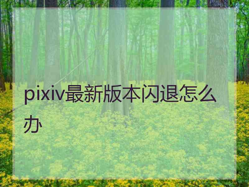 pixiv最新版本闪退怎么办