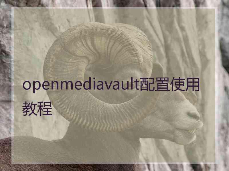 openmediavault配置使用教程