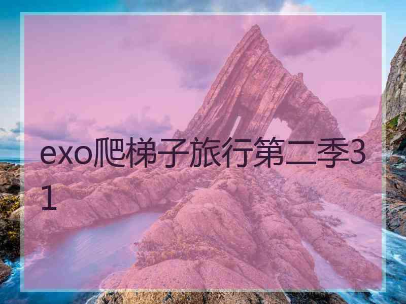 exo爬梯子旅行第二季31