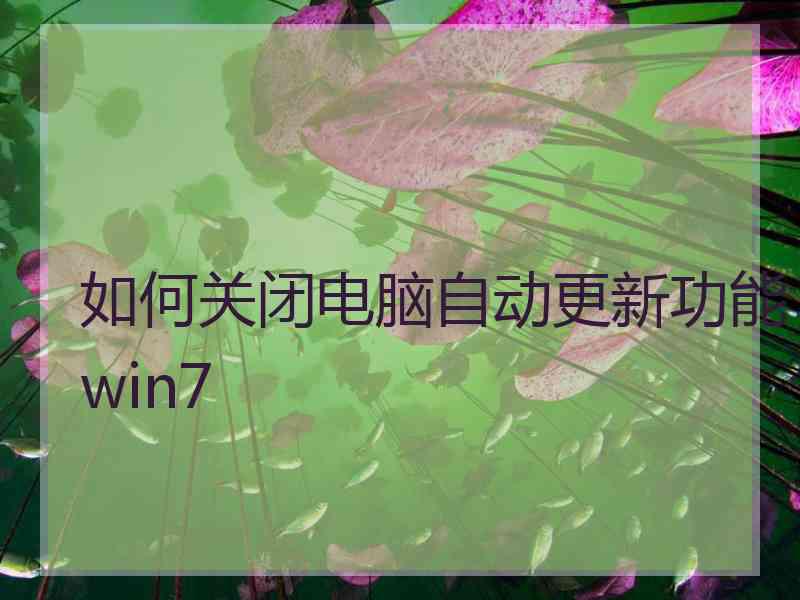 如何关闭电脑自动更新功能win7