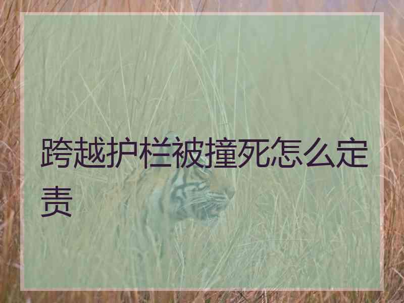 跨越护栏被撞死怎么定责