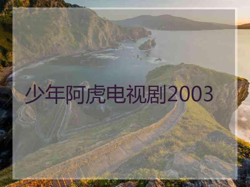 少年阿虎电视剧2003