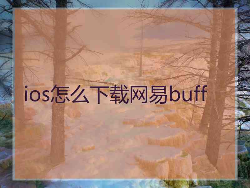 ios怎么下载网易buff