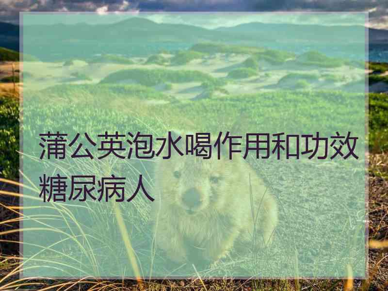 蒲公英泡水喝作用和功效糖尿病人