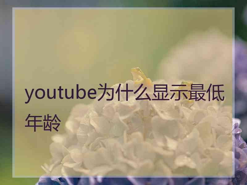 youtube为什么显示最低年龄