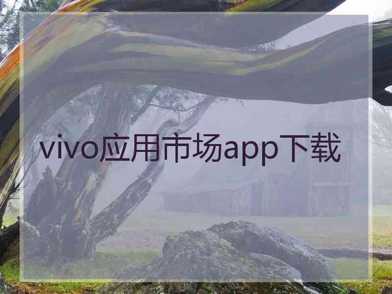 vivo应用市场app下载