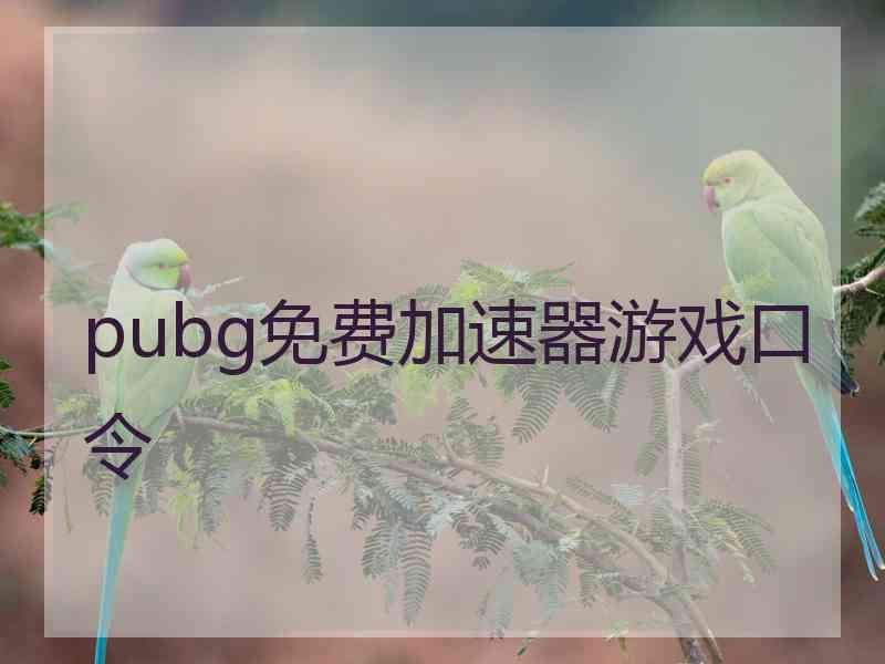 pubg免费加速器游戏口令