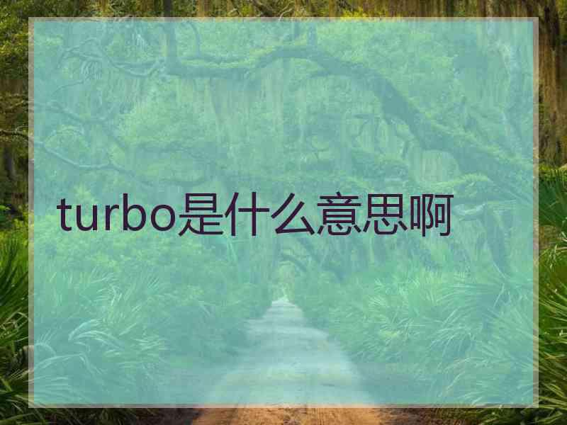 turbo是什么意思啊