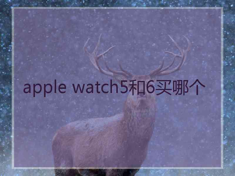 apple watch5和6买哪个