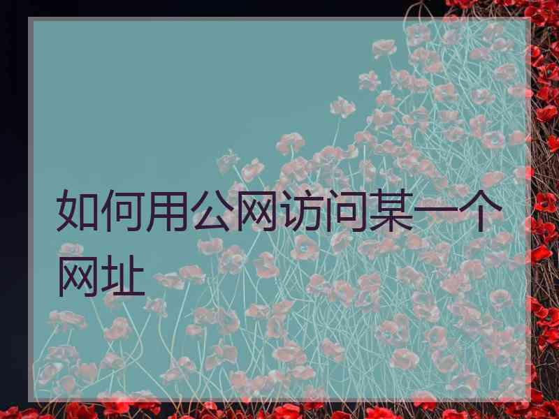 如何用公网访问某一个网址