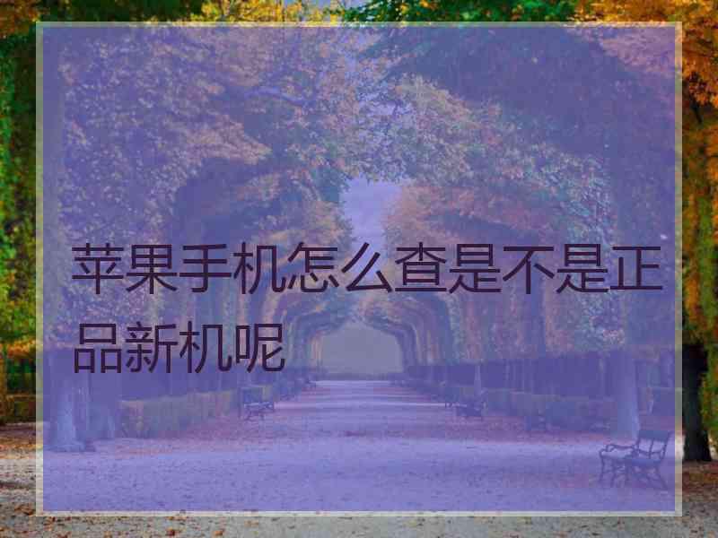 苹果手机怎么查是不是正品新机呢