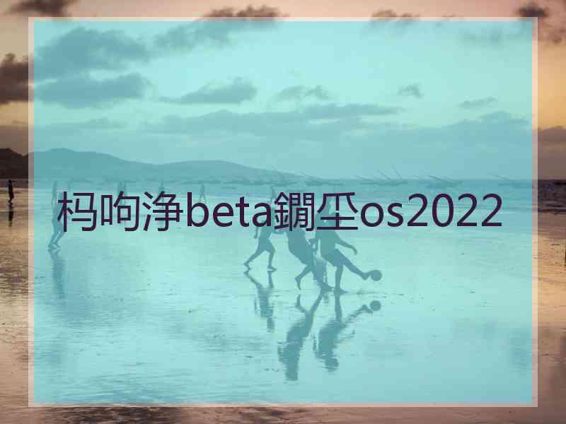 杩呴浄beta鐗坕os2022