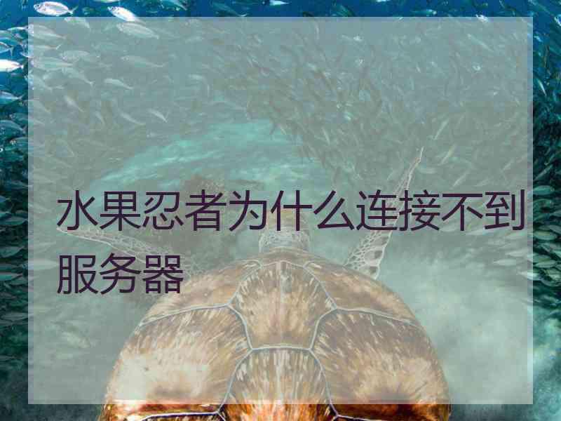 水果忍者为什么连接不到服务器