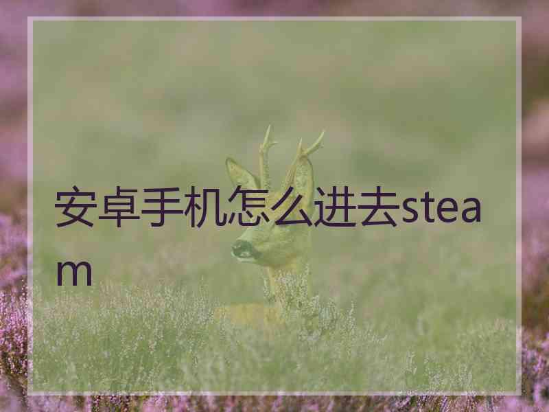 安卓手机怎么进去steam