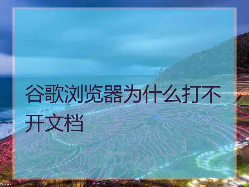 谷歌浏览器为什么打不开文档