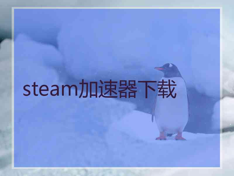 steam加速器下载