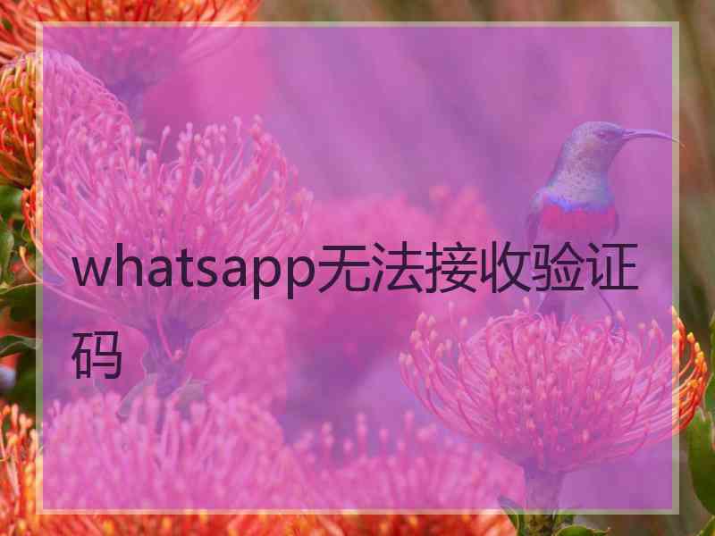 whatsapp无法接收验证码