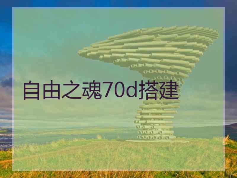 自由之魂70d搭建