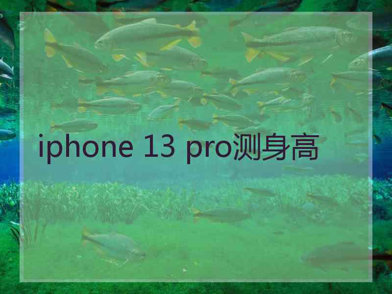 iphone 13 pro测身高