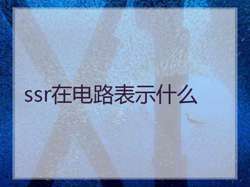 ssr在电路表示什么