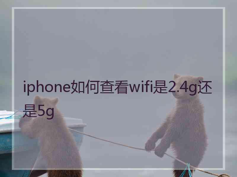 iphone如何查看wifi是2.4g还是5g