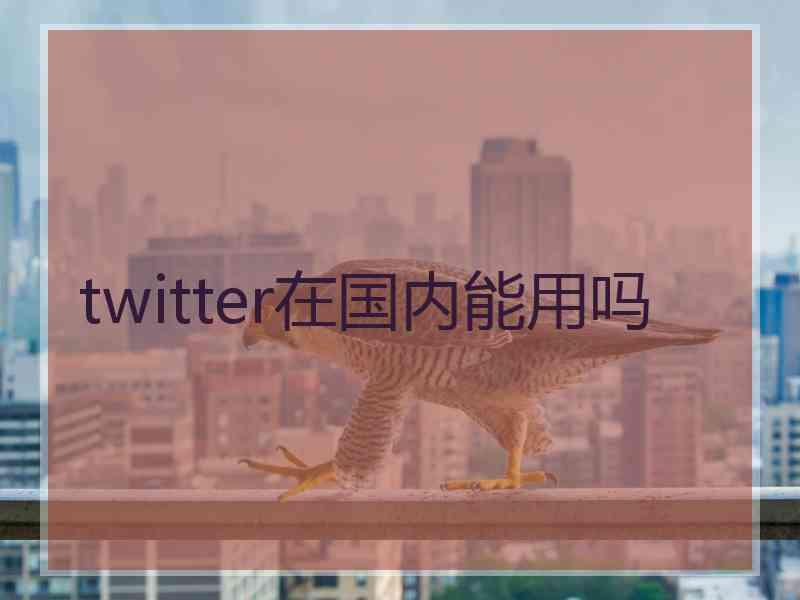 twitter在国内能用吗