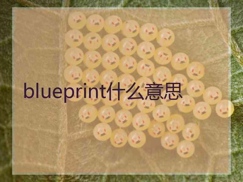 blueprint什么意思