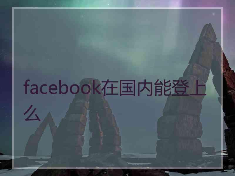 facebook在国内能登上么