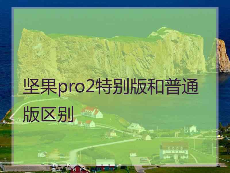 坚果pro2特别版和普通版区别