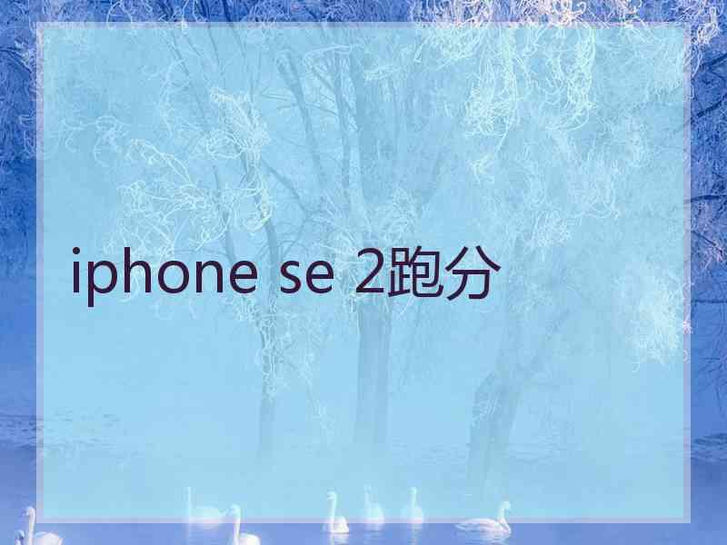 iphone se 2跑分