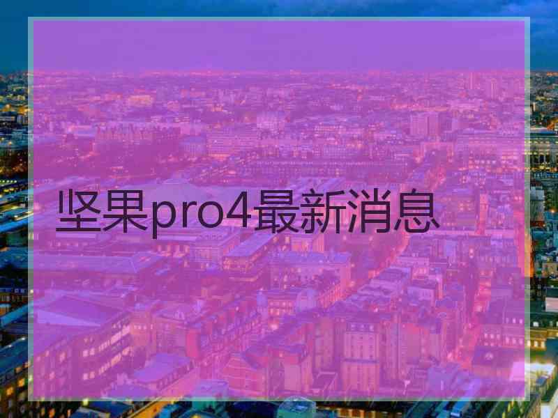 坚果pro4最新消息