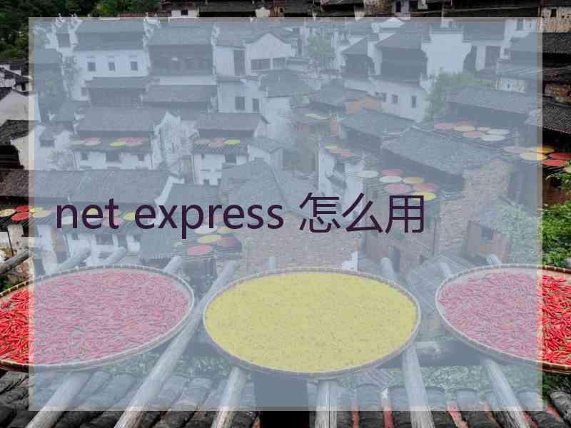 net express 怎么用