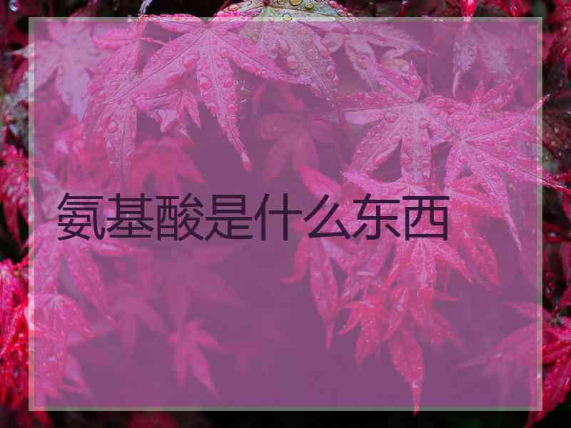 氨基酸是什么东西