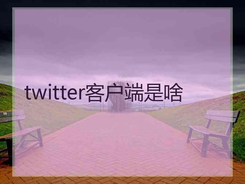 twitter客户端是啥