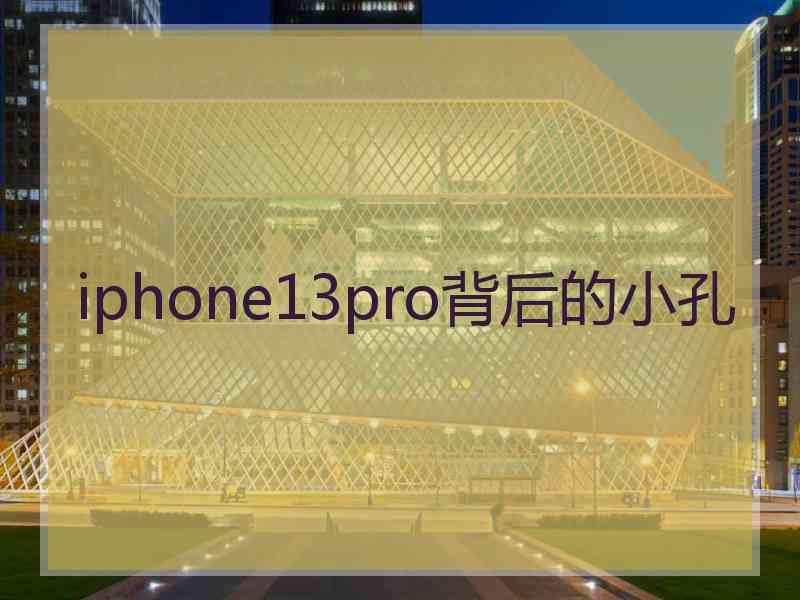 iphone13pro背后的小孔