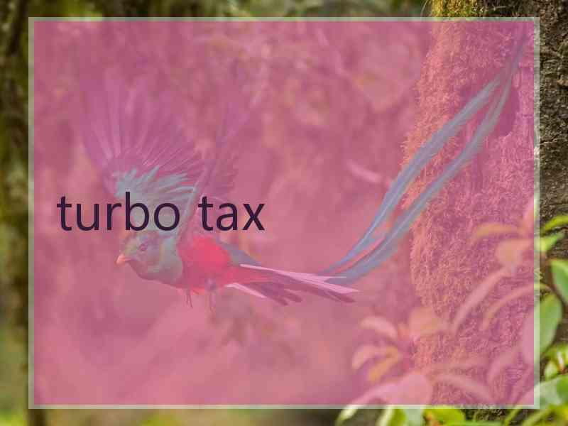 turbo tax