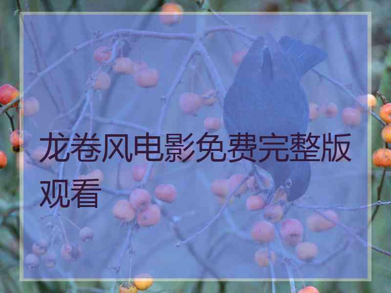 龙卷风电影免费完整版观看