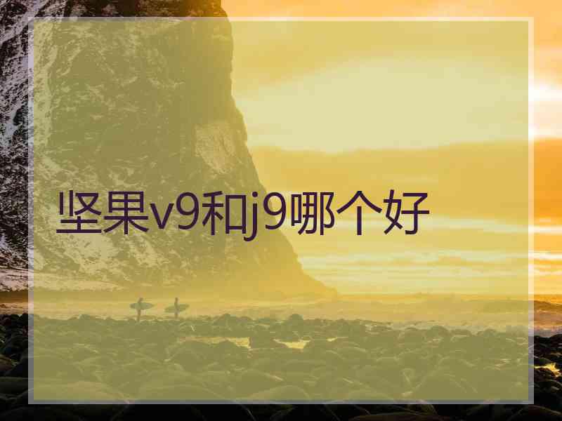 坚果v9和j9哪个好