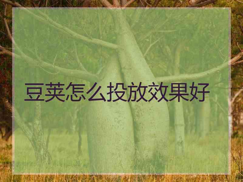 豆荚怎么投放效果好