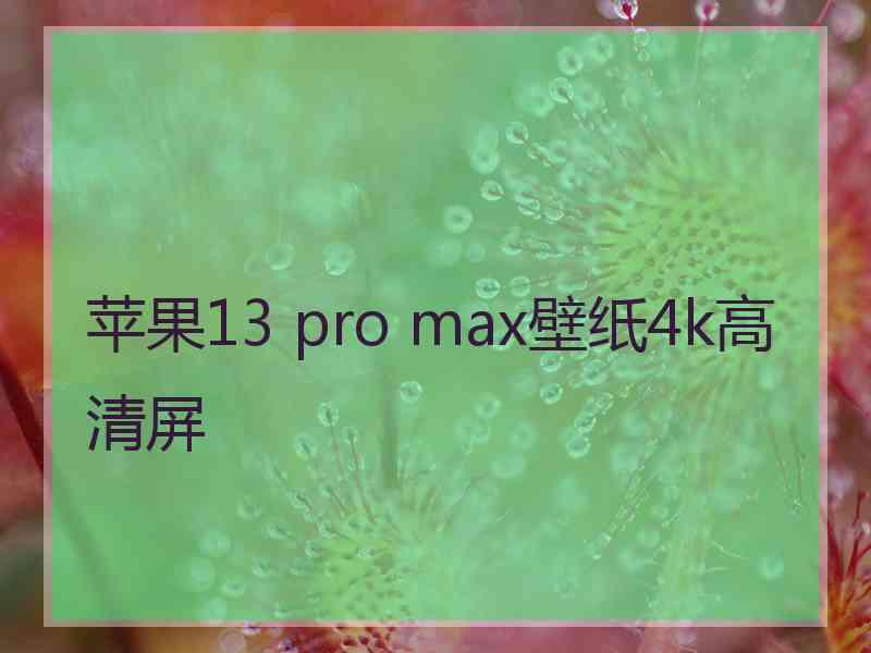 苹果13 pro max壁纸4k高清屏