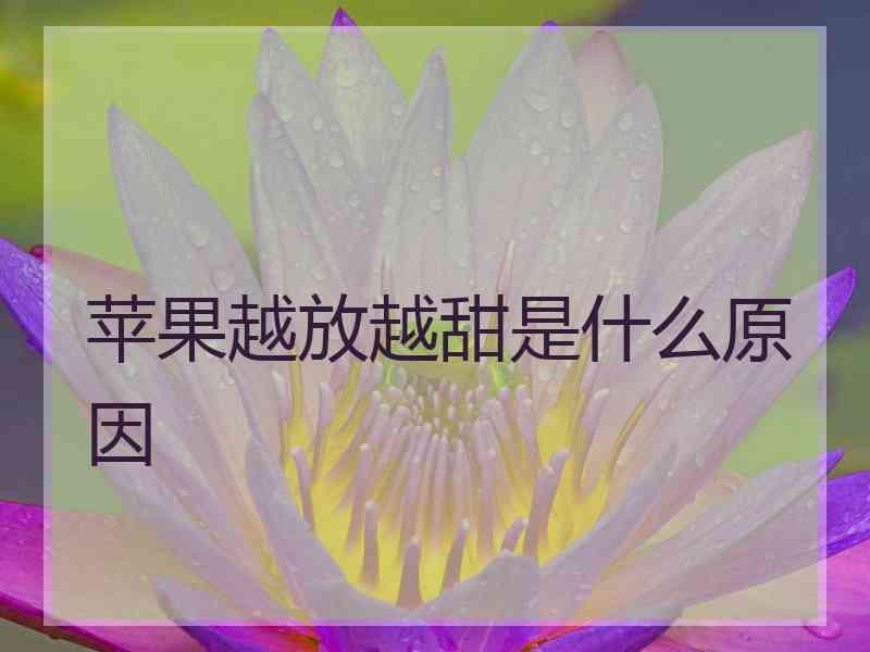 苹果越放越甜是什么原因