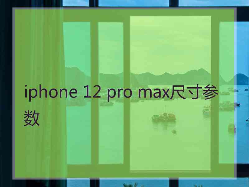 iphone 12 pro max尺寸参数